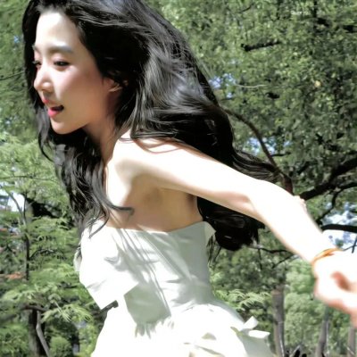 二呆流浪记之完全大人手册